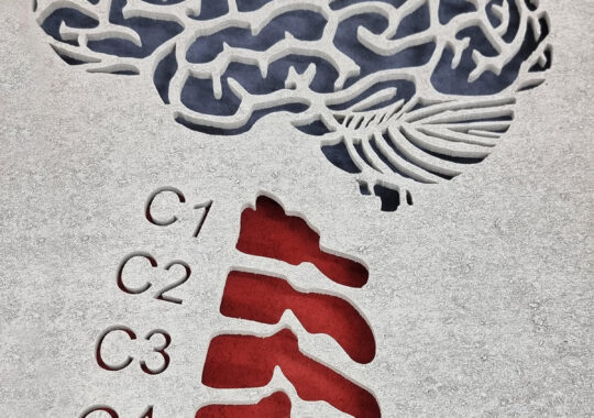 The Spine
