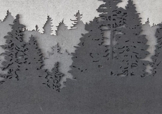 Deep Forest