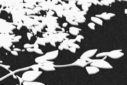 Leaves